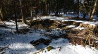 4. 3. 2016 - Zbytky vodního díla mezi rybníky a potokem