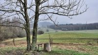 Louky mezi Českou Kamenicí a Kamenickým Šenovem