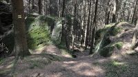 Mezi skalami Pod Strážištěm k Srbské Kamenici