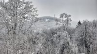 9. 2. 2017 - Jedlová s rozhlednou z nádraží