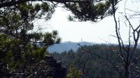 11. 4. 2021 - Pohled na rozhlednu z Růžové vyhlídky nad Labem