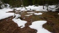 20. 2. 2019 - mokřiny kolem potoka v údolí pod vodopádem