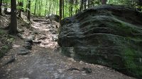 Lesní cesta u Volských kamenů