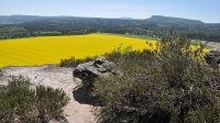 18. 5. 2017 - Gröβer a Kleiner Zschirnstein