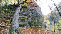 Pohled na skálu z plošiny bývalého hradu pod vrcholem 26. 10. 2020