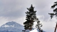 19. 1. 2021 - Ralsko, pohled z lesů mezi Velkou Bukovou a Kalištěm