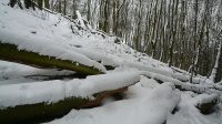 19. 1. 2021 - okružní cesta kolem Malé Bukové