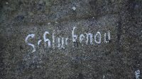 26. 4. 2025