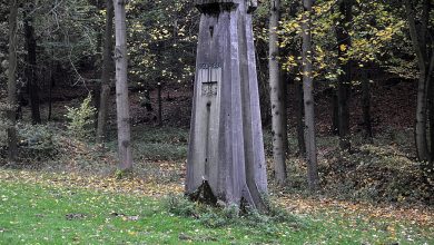 26. 10. 2014