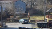 8. 3. 2025 - Pohled na park od radnice