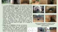 Informační tabule z webu