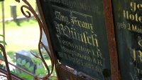 21. 6. 2025