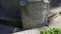 19. 7. 2025