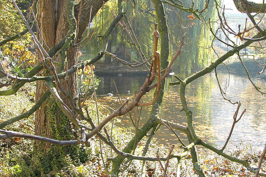 30. 10. 2010