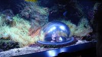 4. 4. 2026 - Výhledová kopule v jednom z akvárií