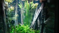 4. 4. 2026 - Další akvária na předělu s pavilonem Terária