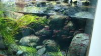 4. 4. 2026 - Další akvária na předělu s pavilonem Terária