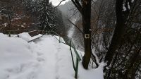 3. 2. 2017
