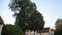 27. 5. 2026