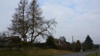 21. 3. 2026