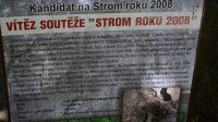 28. 5. 2026