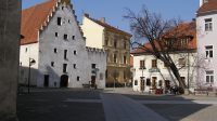 29. 3. 2011