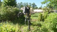 29. 5. 2026