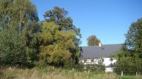26. 9. 2026 - usychající koruna nad střechou domu čp. 20