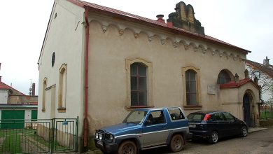 29. 4. 2013