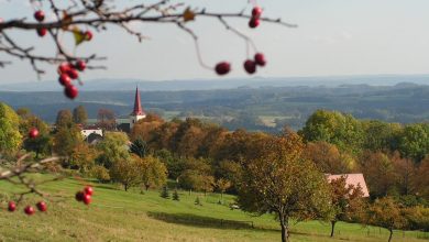 Podještědí